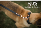 HEXA VODÍTKA & OBOJKY