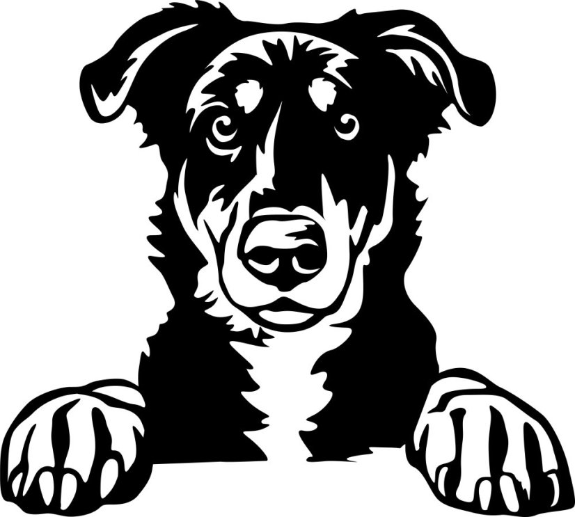 Aportovací činka - dřevěná 650g/1kg/2kg BEAUCERON - APORT: 650g