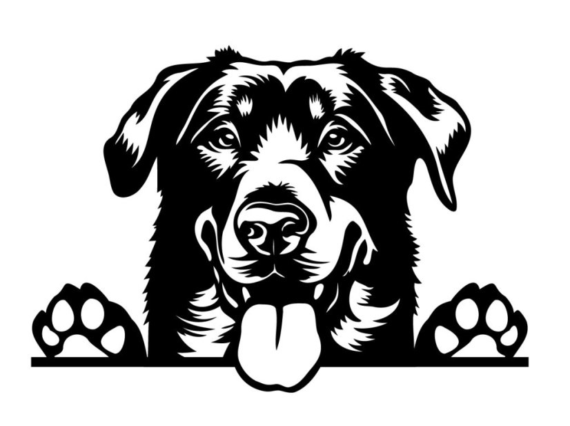 Aportovací činka - dřevěná 650g/1kg/2kg BEAUCERON - APORT: 650g