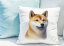 POLŠTÁŘEK - SHIBA