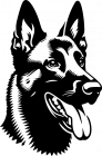 Belgický ovčák