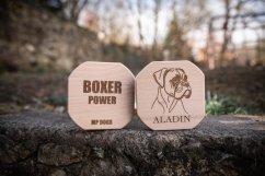 Aportovací činka - dřevěná 650g/1kg/2kg BOXER