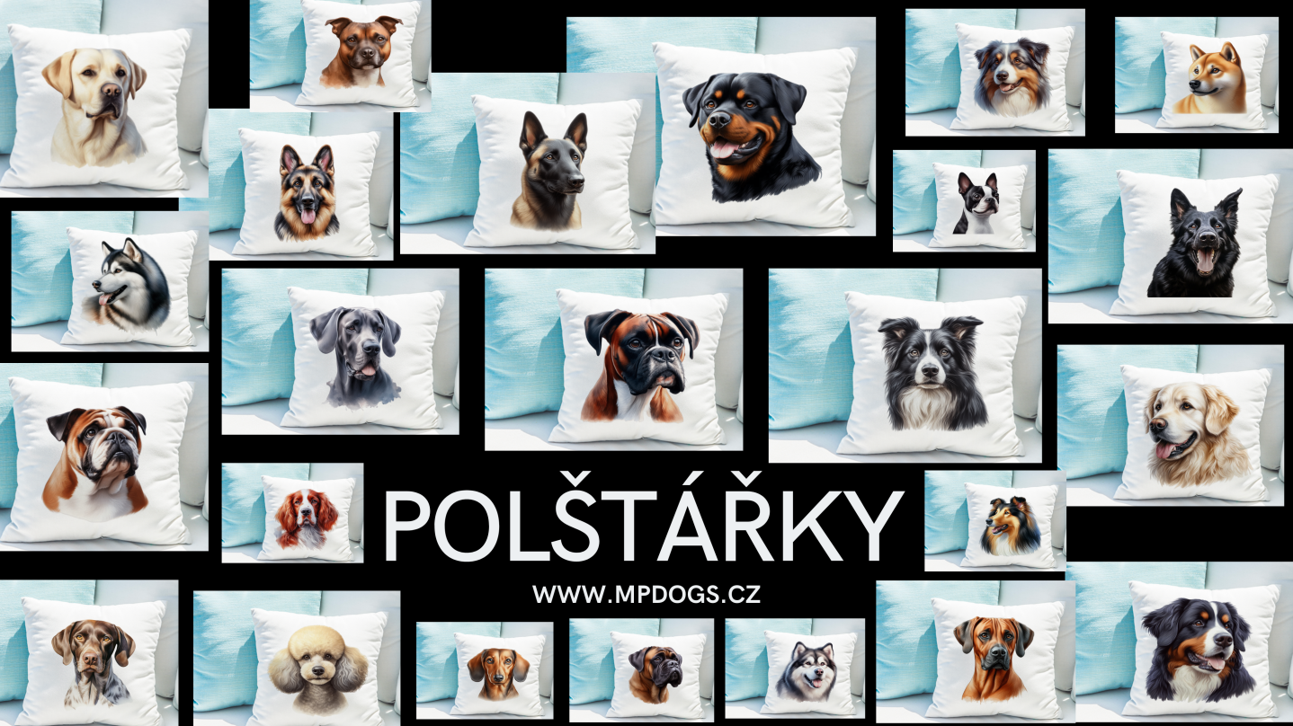 POLŠTÁŘKY