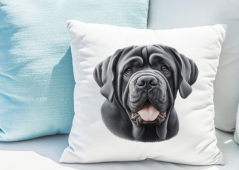 POLŠTÁŘEK - NEAPOLSKÝ MASTIFF