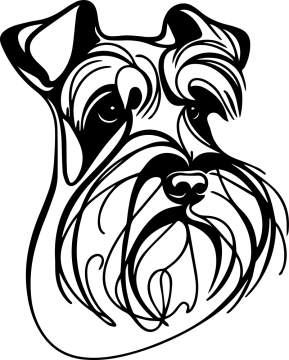 Knírač - UMÍSTĚNÍ - Přední díl - B