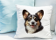 POLŠTÁŘEK - WELSH CORGI