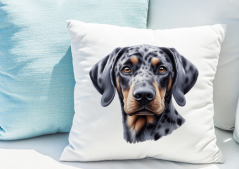 POLŠTÁŘEK - PLOTT HOUND