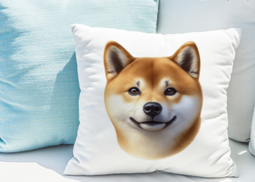 POLŠTÁŘEK - SHIBA