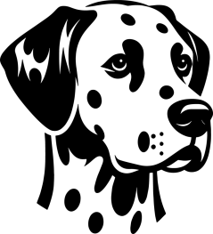 Výšivka - DALMATIN 1