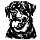 Rotvajler