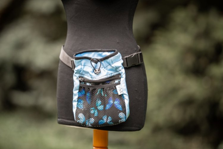 PAMLSKOVNÍK - MOTÝLCI (modrá)