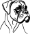 Výšivka - BOXER 1