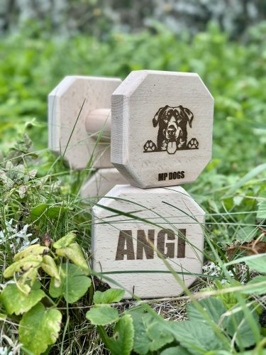 Aportovací činka - dřevěná 650g/1kg/2kg BEAUCERON - APORT: 1kg