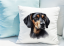POLŠTÁŘEK - BLACK AND TAN COONHOUND