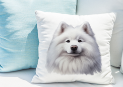 POLŠTÁŘEK - SAMOJED