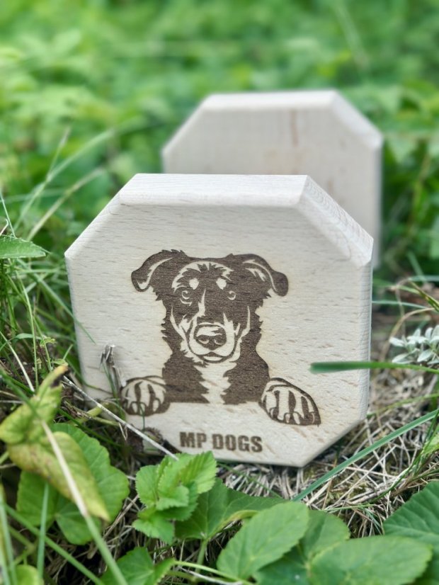 Aportovací činka - dřevěná 650g/1kg/2kg BEAUCERON - APORT: 650g