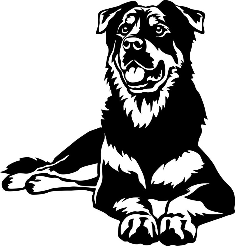 Aportovací činka - dřevěná 650g/1kg/2kg BEAUCERON - APORT: 650g