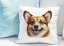 POLŠTÁŘEK - WELSH CORGI