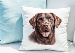 POLŠTÁŘEK - CHESAPEAKE BAY RETRIEVER
