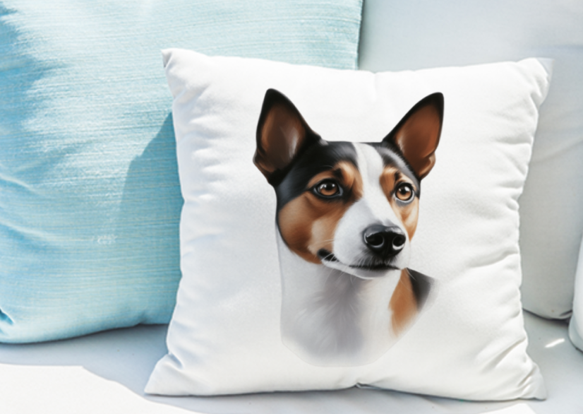 POLŠTÁŘEK - BASENJI