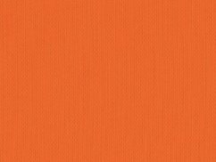 Pánská letní výcviková vesta - ORANŽOVÁ