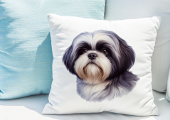 POLŠTÁŘEK - SHIH-TZU