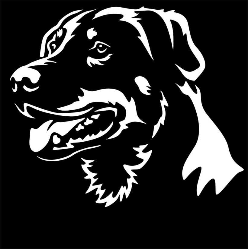 Aportovací činka - dřevěná 650g/1kg/2kg BEAUCERON - APORT: 650g