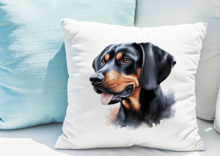 POLŠTÁŘEK - BLACK AND TAN COONHOUND
