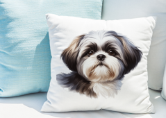 POLŠTÁŘEK - SHIH-TZU