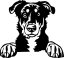 Aportovací činka - dřevěná 650g/1kg/2kg BEAUCERON - APORT: 2kg