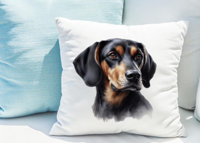 POLŠTÁŘEK - BLACK AND TAN COONHOUND